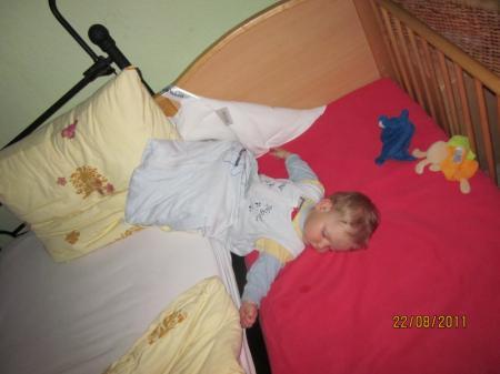 Bild zu 