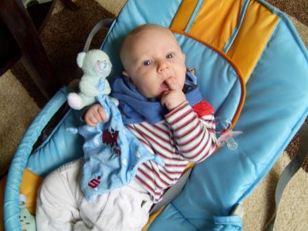 Bild zu