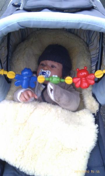 Bild zu 