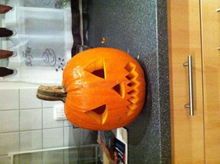Bild zu 