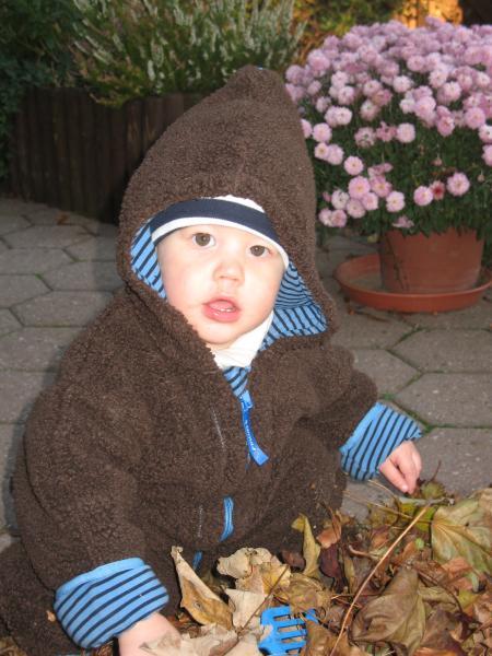 Bild zu 