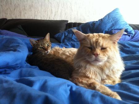 Bild zu