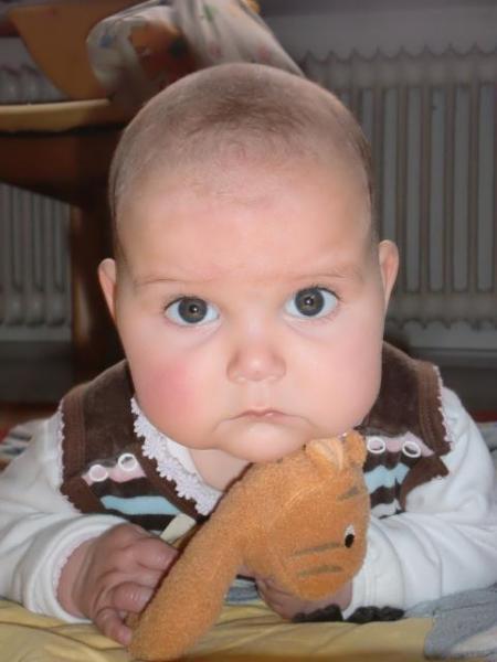 Bild zu
