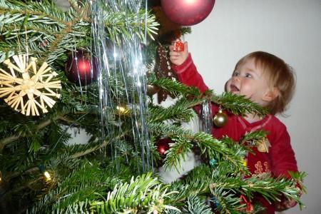 Bild zu 
