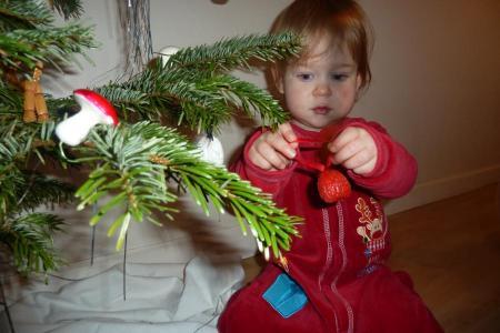 Bild zu 