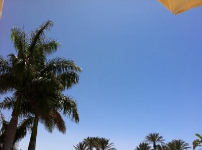 Bild zu Foto von der Terrasse - Forum für Juni - Mamis