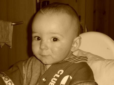 Bild zu