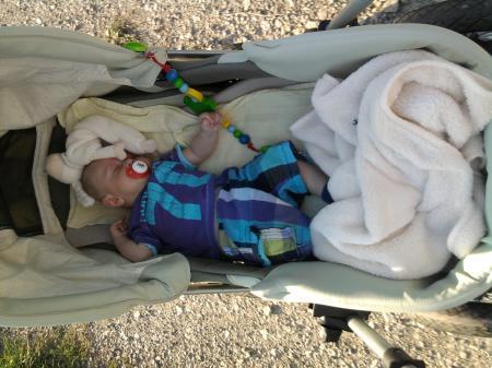 Bild zu 