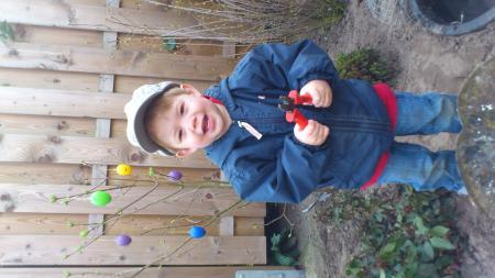 Bild zu 