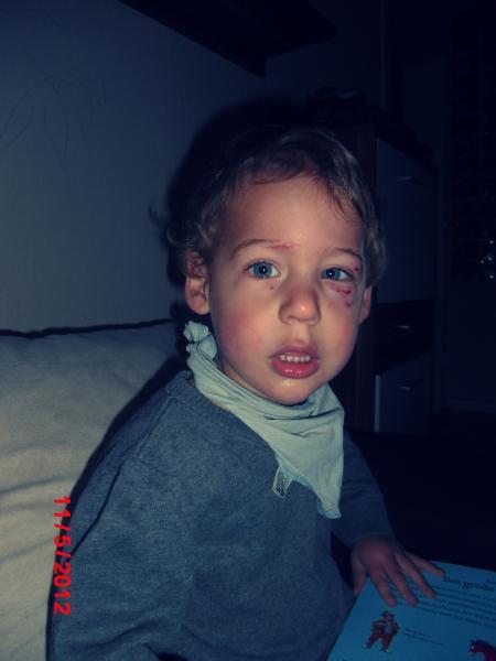 Bild zu 
