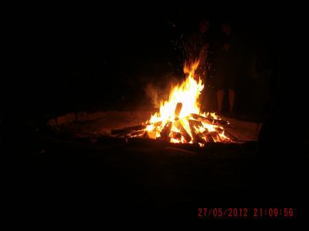 Bild zu