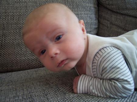Bild zu
