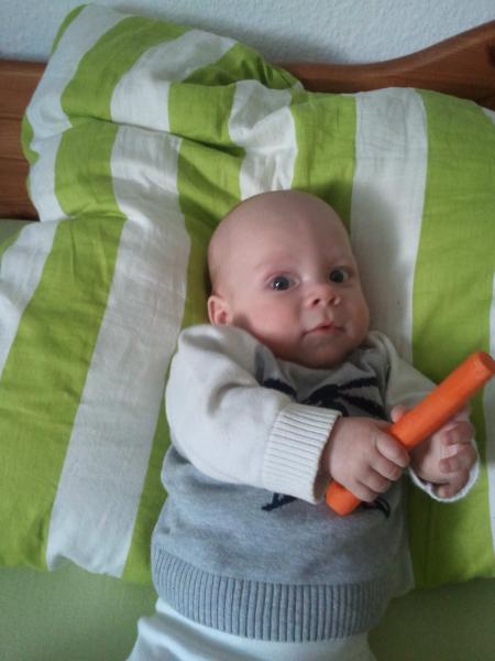 Bild zu
