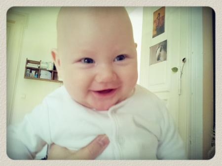Bild zu