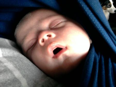 Bild zu 