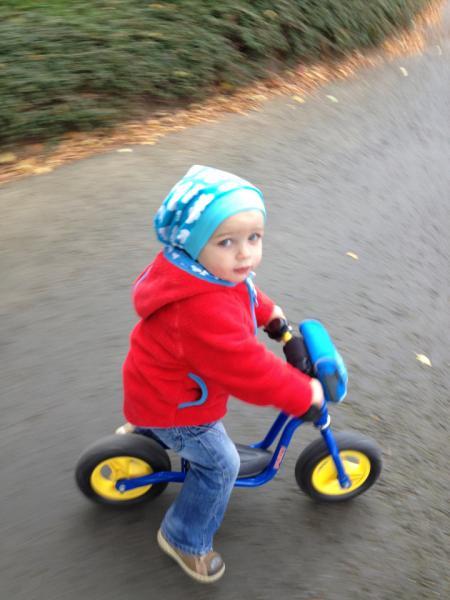 Bild zu