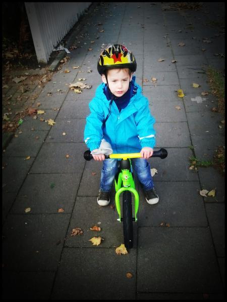 Bild zu