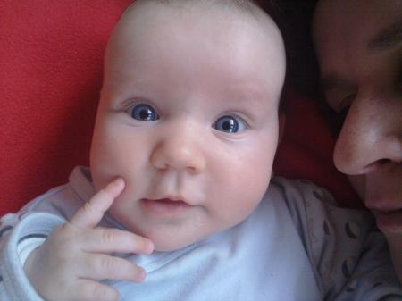 Bild zu