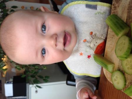 Bild zu