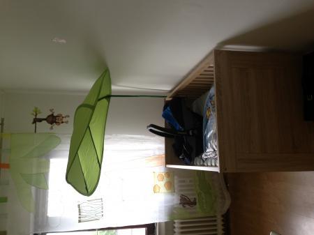 Bild zu 