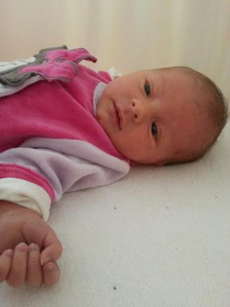 Bild zu