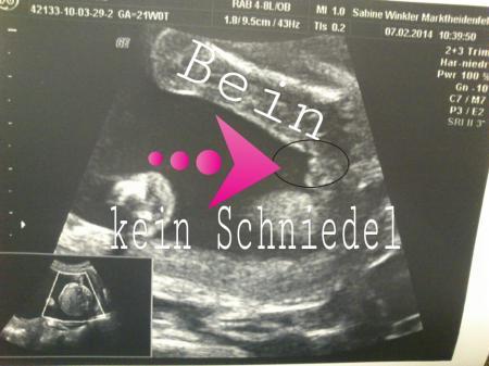 Bild zu 