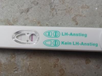 Bild zu Ovulationstest ?! - Forum für Juni - Mamis