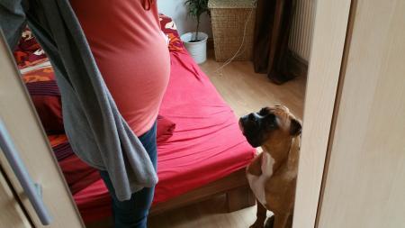 Bild zu Riesenbauch... - Forum für Juni - Mamis