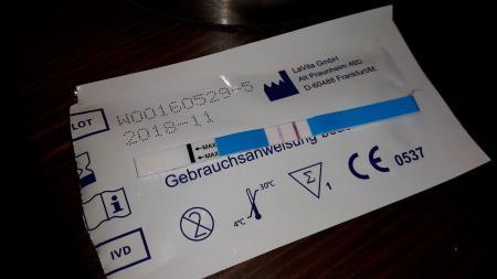 Bild zu 