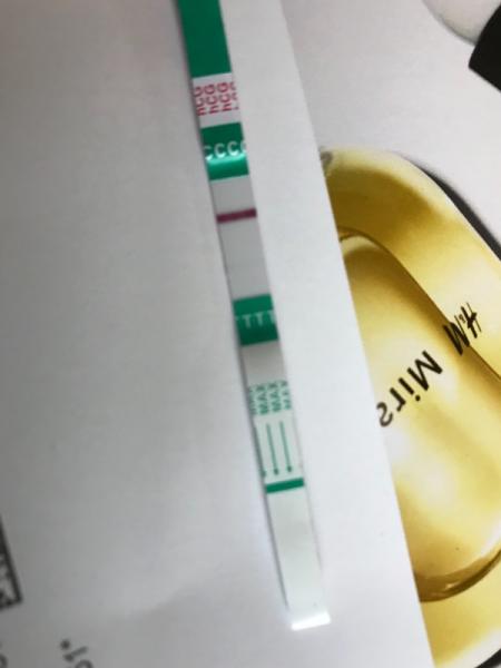 Bild zu Hmpf.....jetzt bin ich doch im Hibbelwahn - Forum für Juni - Mamis