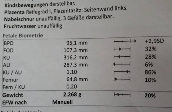 Bild zu Zurück von der Geburtsanmeldung - Forum für Juni - Mamis
