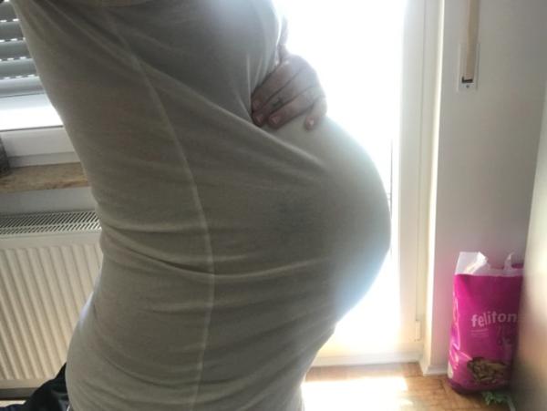 Bild zu 