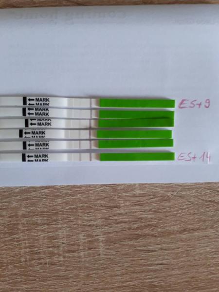 Bild zu 