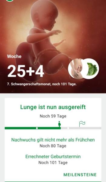 Bild zu 