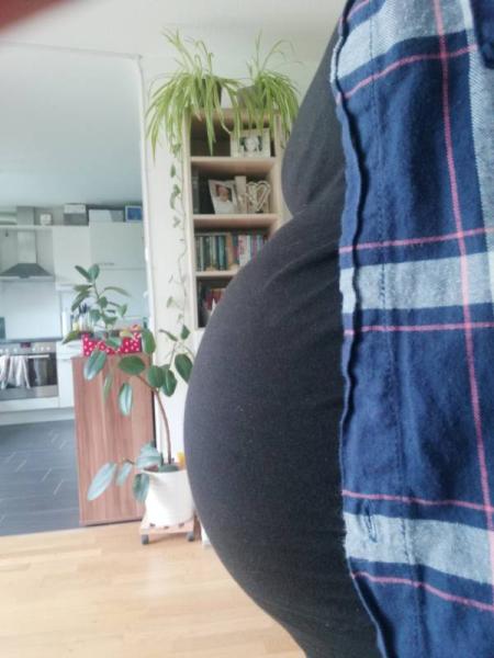 Bild zu 