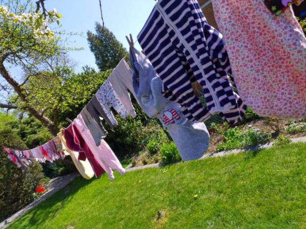 Bild zu Nestbau - es spitzt sich zu đ - Forum fĂŒr Juni - Mamis