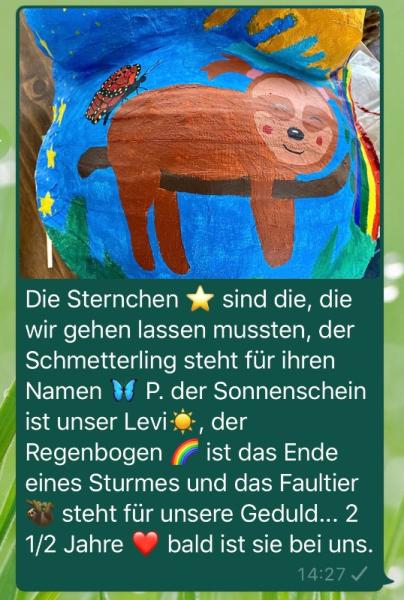 Bild zu 