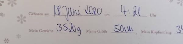 Bild zu Wir haben es auch geschafft - Forum für Juni - Mamis