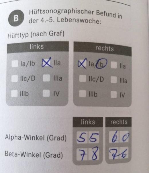 Bild zu 