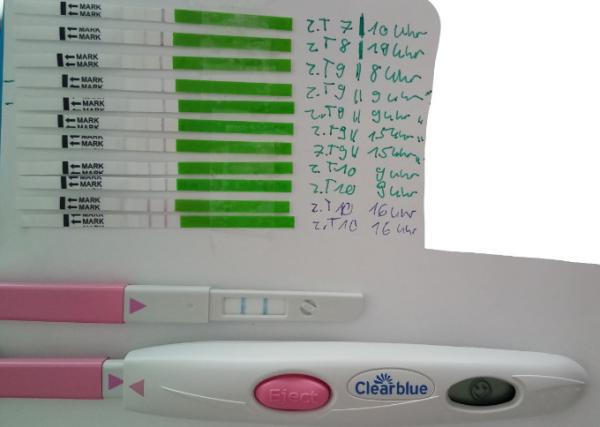 Bild zu Sommer Baby hibbelei - Forum für Juni - Mamis