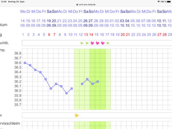 Bild zu 