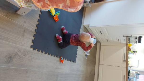 Bild zu