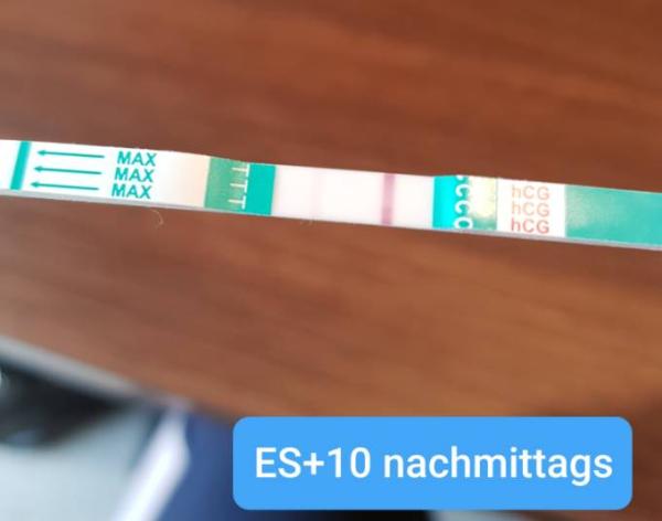 Bild zu Hoffnung auf ein Busticket :) - Forum für Juni - Mamis