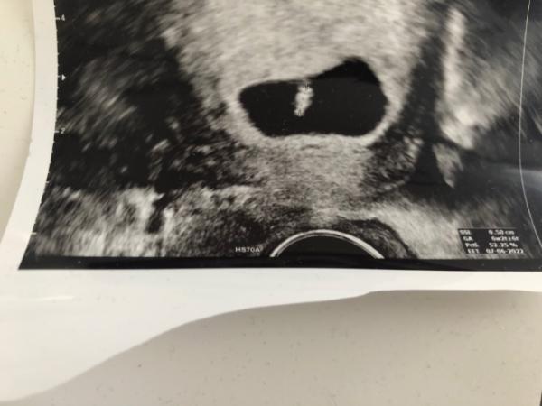 Bild zu Ganz glücklich 😊 - Forum für Juni - Mamis