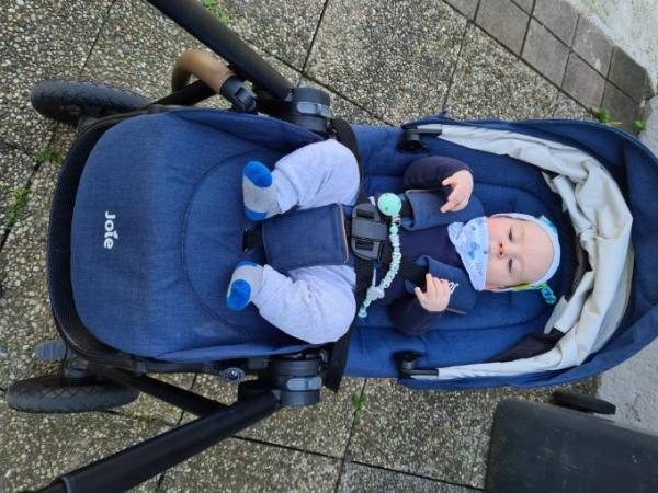 Bild zu