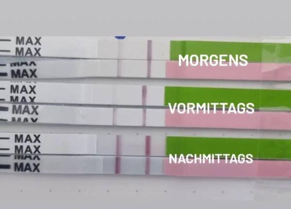 Bild zu 