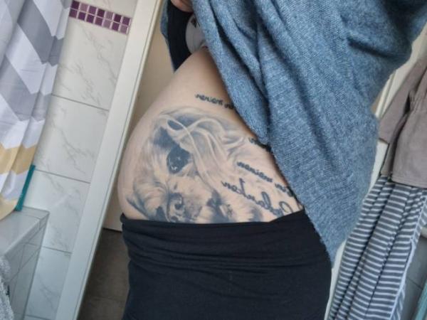Bild zu