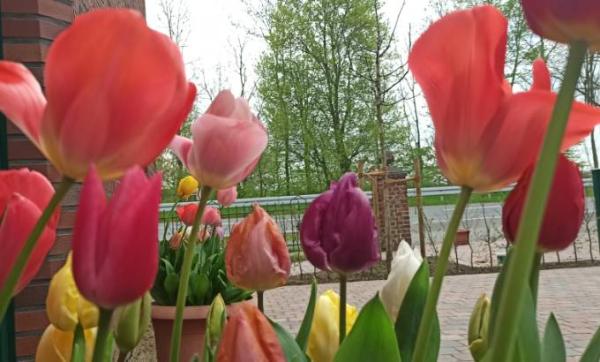 Bild zu Positive Energie - Forum für Juni - Mamis
