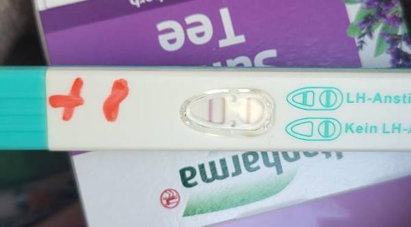 Bild zu Facelle ovu test - Forum für Juni - Mamis