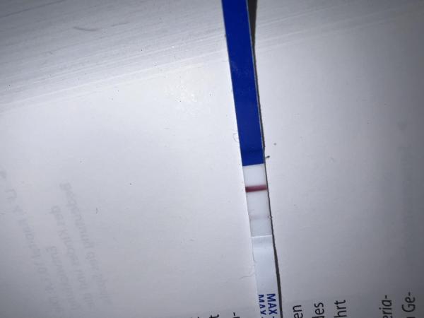Bild zu Hilfe!! Wer hat Erfahrung mit den SST von ONE Step - Forum für Juni - Mamis